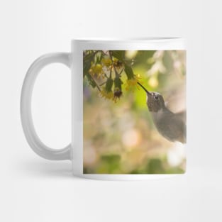 Hummingbird of Mexico Mug